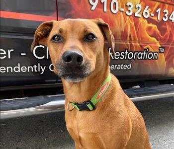 Hank - Keep ya happy Manager, team member at SERVPRO of Carteret & East Onslow Counties