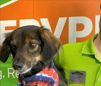 Cooper, team member at SERVPRO of South Albuquerque