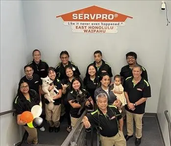 SERVPRO of Waipahu 2024, team member at SERVPRO of Waipahu