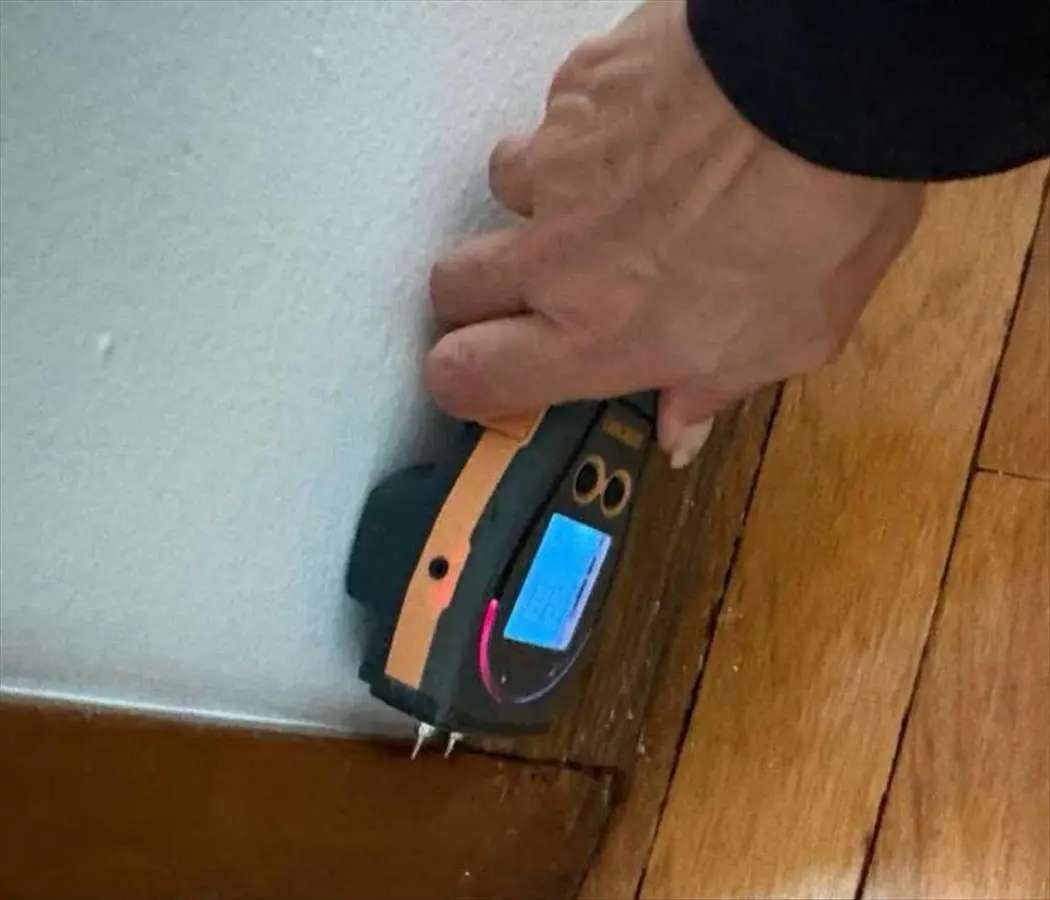 Water Damage Restoration in South Orlando: Dry Means Verified, Not Guessed