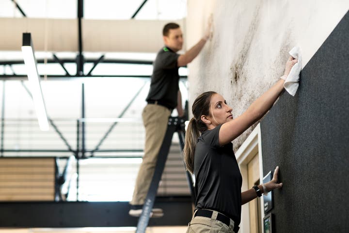 Specialized and Professional Training