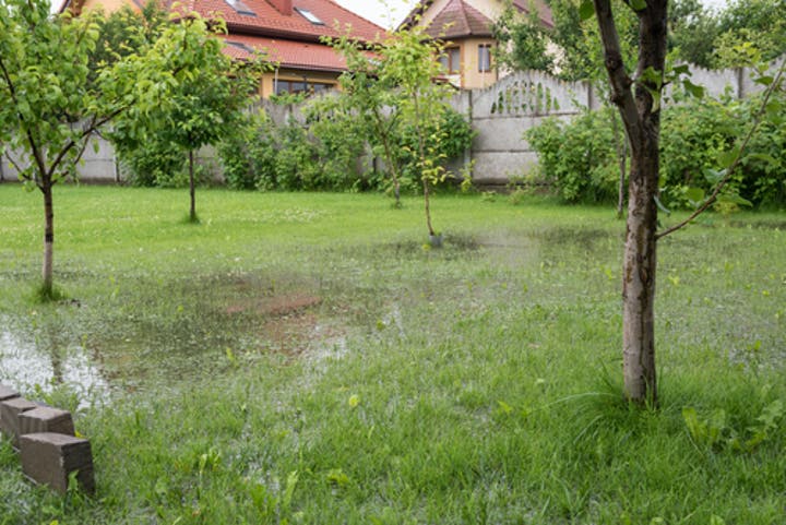 How to Prevent Flooding in Your Yard