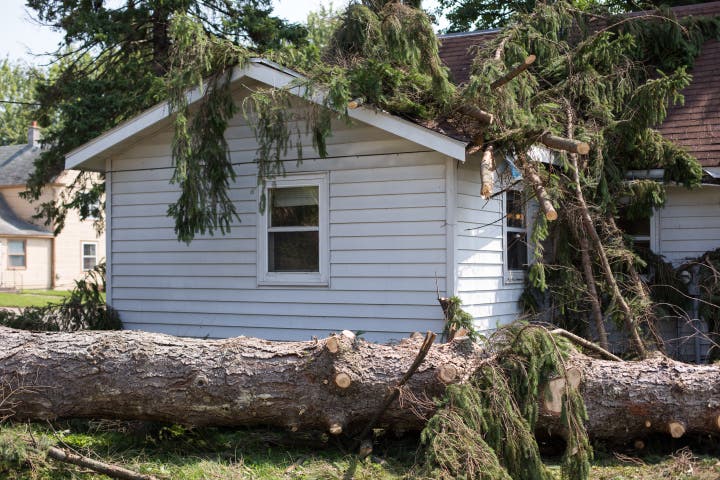 When Storm Damage Strikes, SERVPRO® Storms in to Your Rescue